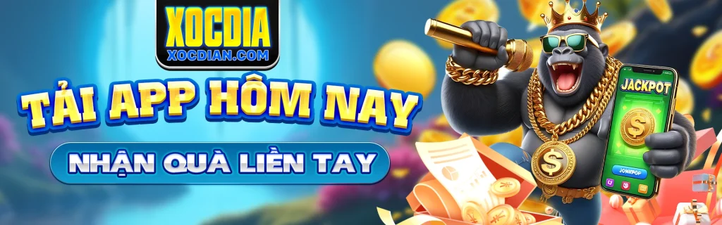 banner-1-xocdian-com