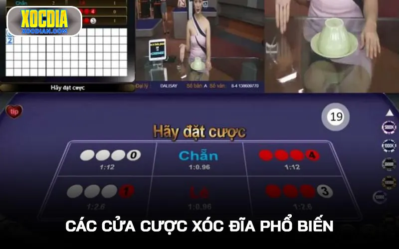 Cách chơi Xóc đĩa và các cửa cược phổ biến