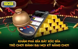 Đĩa bát Xóc đĩa