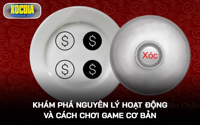 Khám phá nguyên lý hoạt động và cách chơi game cơ bản