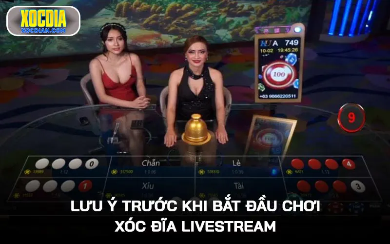 Lưu ý trước khi bắt đầu chơi Xóc đĩa livestream