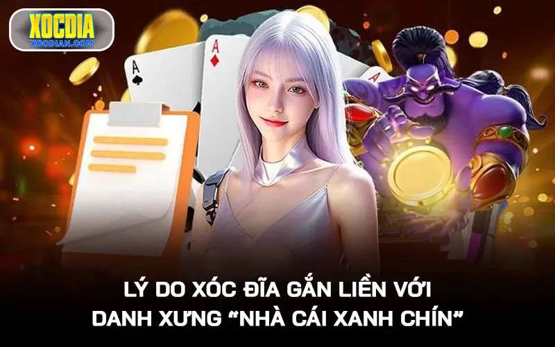 Lý do Xóc Đĩa gắn liền với danh xưng “nhà cái xanh chín”