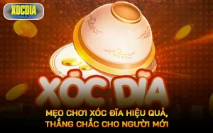 Mẹo chơi Xóc đĩa