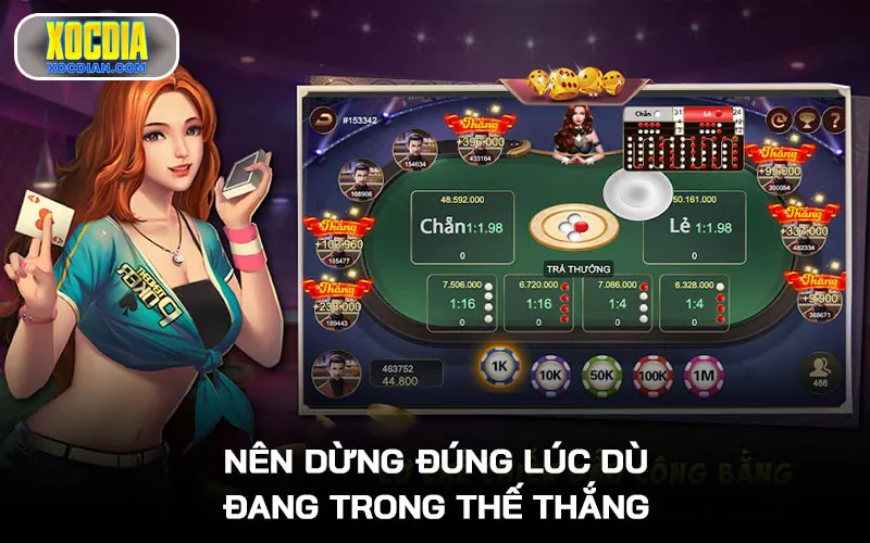 Nên dừng đúng lúc dù đang trong thế thắng