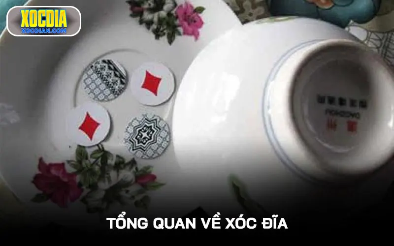 Tổng quan về Xóc đĩa